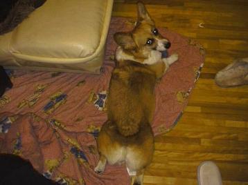 そら、リラックス