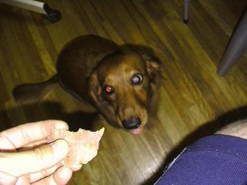 なおにもおいも・・・