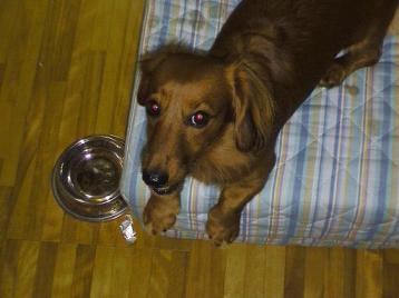 なお飛びます飛びます