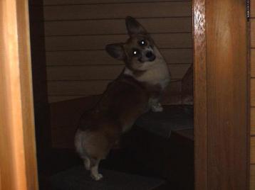 そら、あがれないよ～