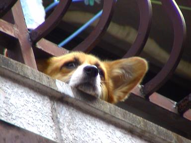 そらいってらっしゃい