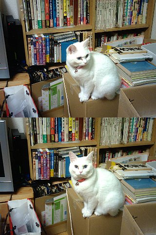 エ?片付けろって?