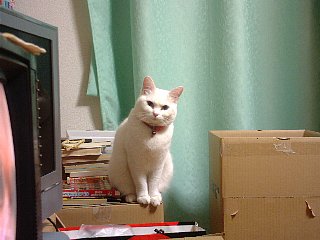 そうそう。しっかりお出迎えを