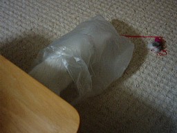 袋にダイビング