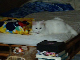 また寝るらしい