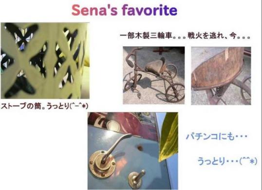 やしの実　　　Sena' Favorite