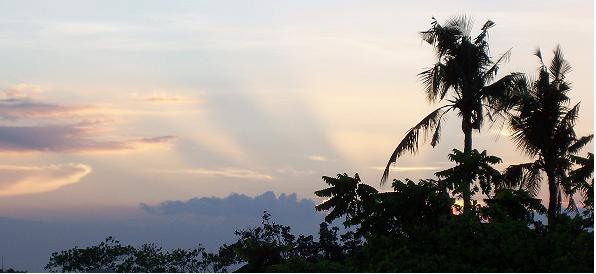 cebu20