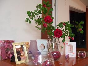 rose