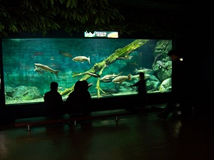 川魚博物館