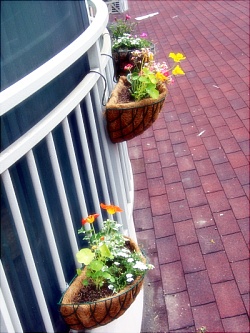 ベランダガーデン