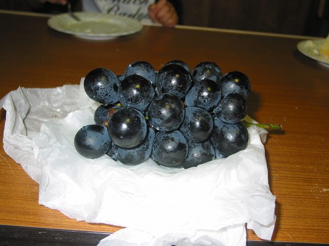 ナガノパープル