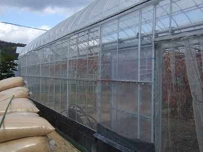 腰ビニール無し