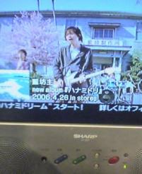 ハナミドリ＠HMV2