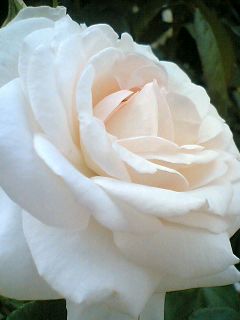 06-05-28_15-41.jpg