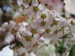 IMG_3250_1.JPG