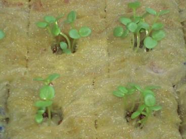 2008.09.15 008(3).JPG