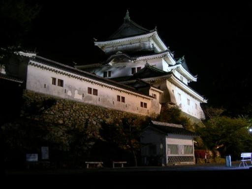 和歌山城天守閣　夜