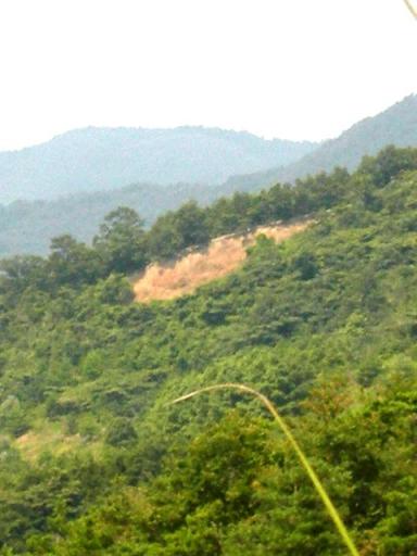 これはなんだ？？？