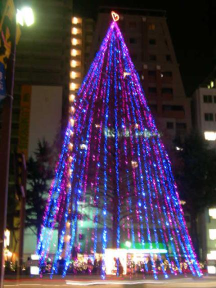 クリスマスツリーの丘