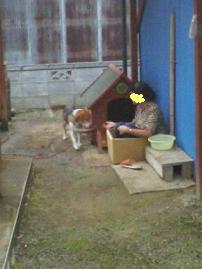 ホラ、楽しいのよ～！！！→ママのばか