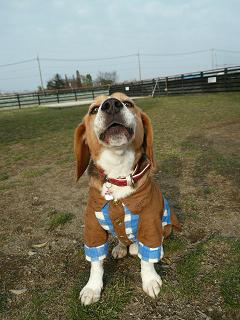 くれないと座り込みするよ