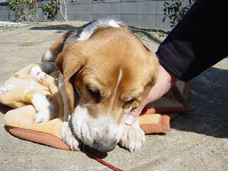 コレは渡せません！