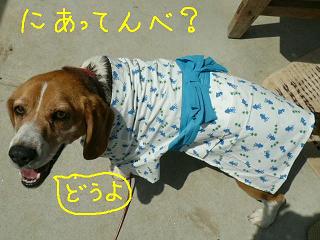 何着ても似合うべ？