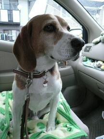 おされなお風呂に入ったよ♪