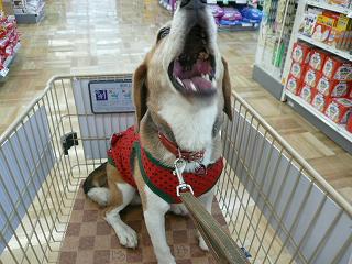 おもちゃ買え～！！！