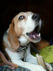 旨い！旨すぎる！