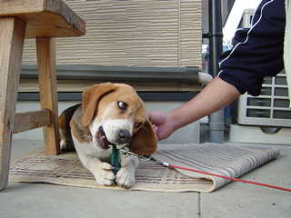 にぃちゃん、やめて～