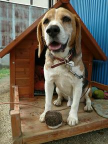 激安はどっち？(・-・*)