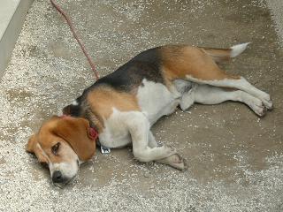 反省してます・・・