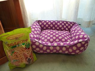 太郎のお年玉プレゼント