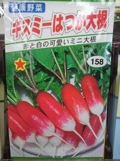 ネーミングが＼(^▽^＠)ノ アハハ