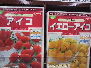 アイコ・ニ連発