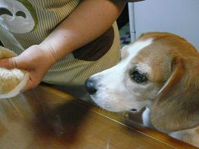 それ、ちょうだい！！！