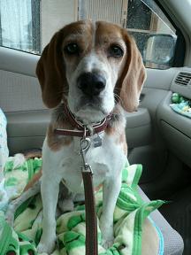 お風呂に行ってくるのだ☆