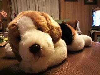 どうも、桃ちゃんです。