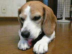 ミラクル☆舌トルネードショット