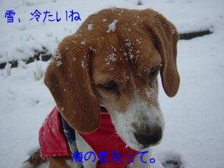 冷たいの・・・