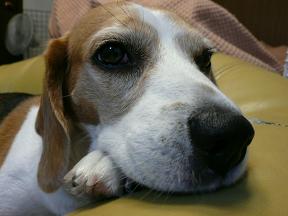 ねぇちゃん、まだ帰らないでね。