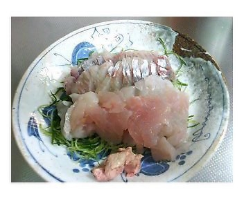 お刺身