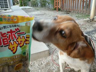 早くクレ！！！