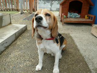 俺も結構すごいべ？強いべ？