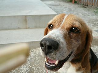 くわ～、旨そう♪