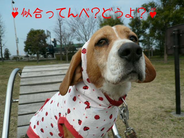 おっさんのコスプレ！？