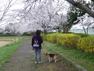 ねぇちゃんと太郎