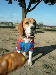 ねぇちゃん、ありがとう♪