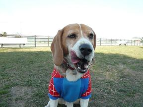 イケる味だね。